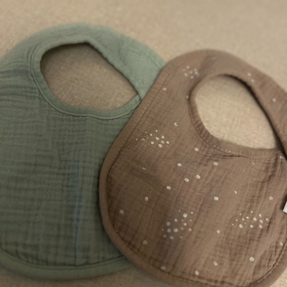 Charming Green and Brown Baby Bib Set